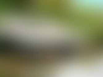 110 信州シルクロード02 和田峠越え