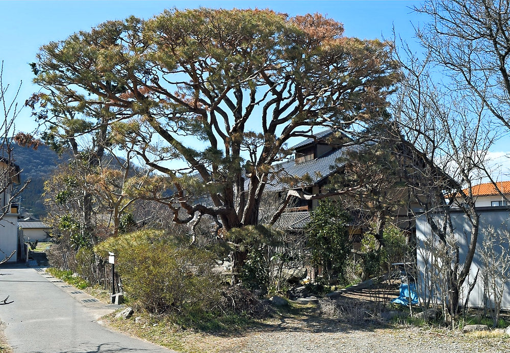 04 杏の里板画館