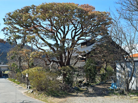 04 杏の里板画館