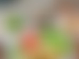 蒸し鶏の薬味だれ