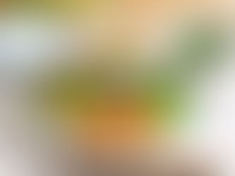 カキのケチャップ煮