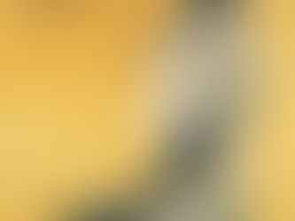 福富太郎さんコレクション