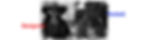 Back groudn Wide_edited.jpg