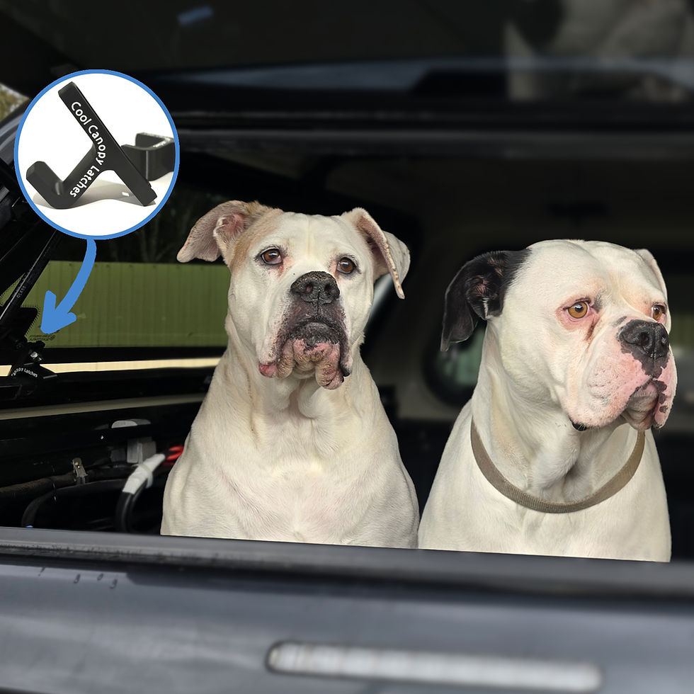 Thumbnail: EGR Core Canopy Air Vent on Ute