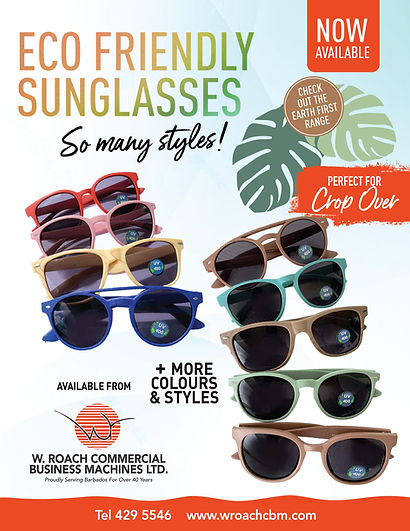 _ECO FRIENDLY SUNGLASSES BLUE.jpg
