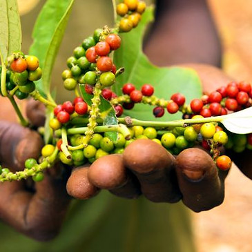 Tanzania Tours & Safari