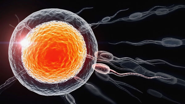 Reproductive & Hormonal Health.