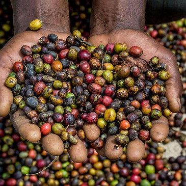 Tanzania Tours & Safari