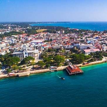 Sayafri Tours & Safari