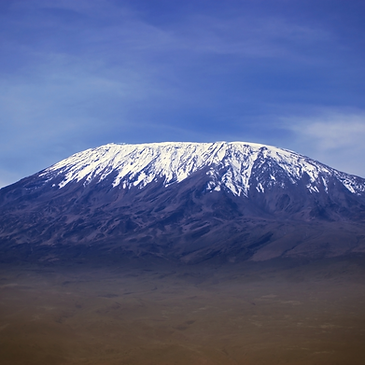 Sayafri Tours & Safari