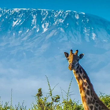 Tanzania Tours & Safari