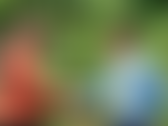 Empowering Rural Entrepreneurs in Timor-Leste