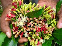 Cloves