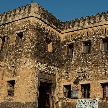 Tanzania Tours & Safari