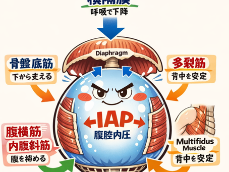 体幹トレーニングについて