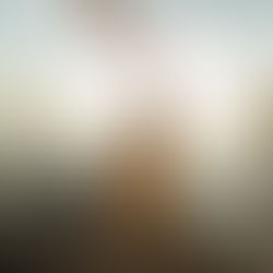 Faire ce qui compte en période de stress :Un guide illustré