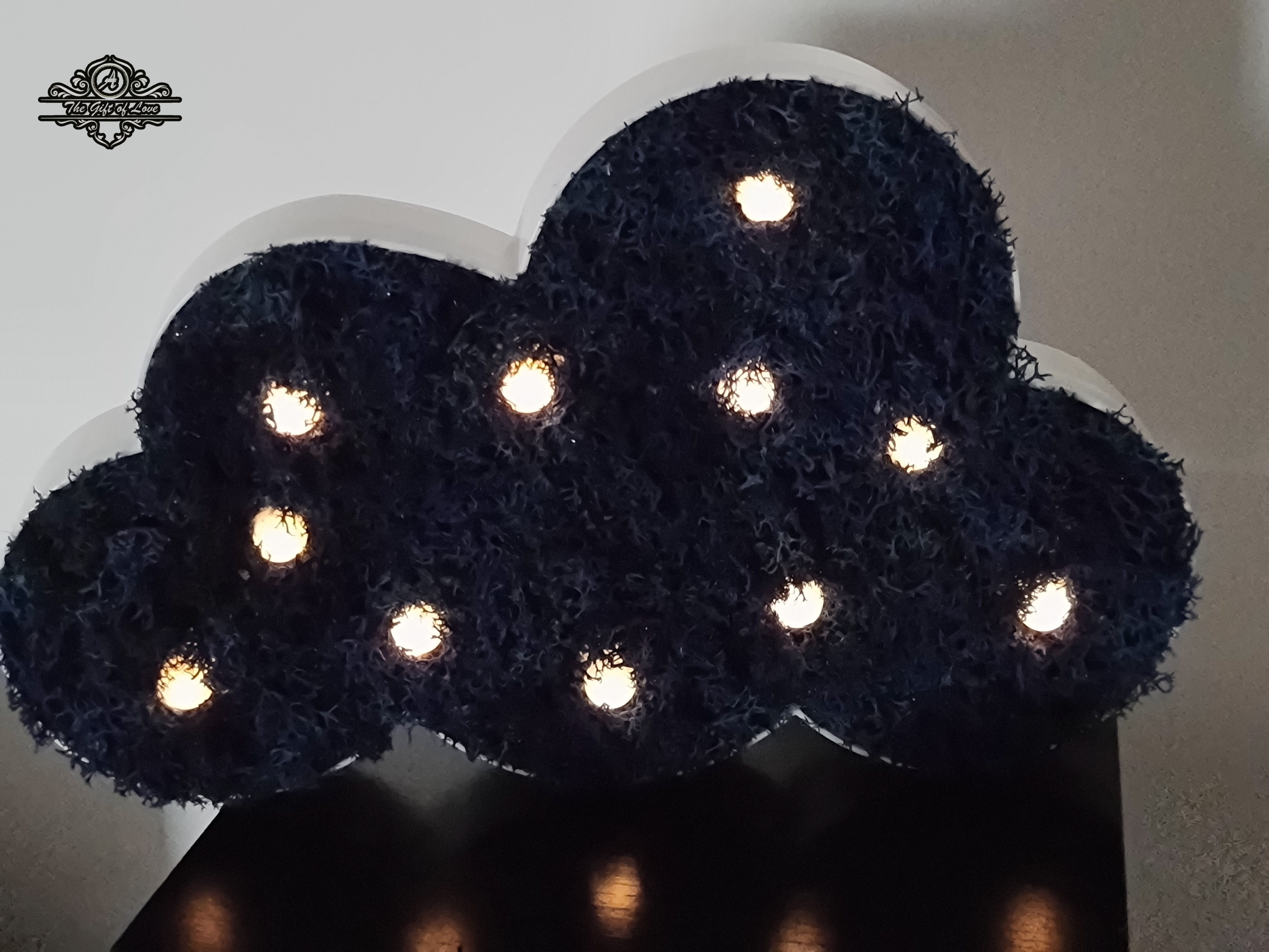 Norișor cu leduri din licheni stabilizati.