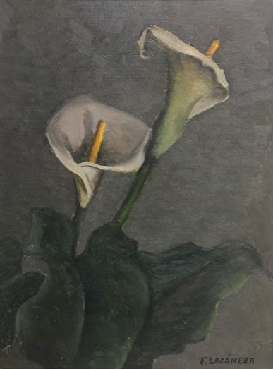 LACÁMERA CALAS 1941 COLECCIÓN MOSE.jpg