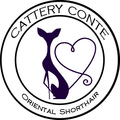 Conte LOGO.gif