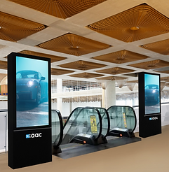 Digital Arrival Duos.png