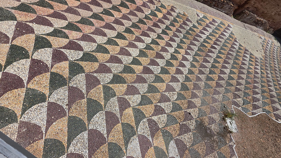 20260418_112412.jpg