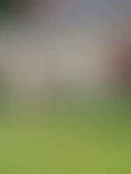 Beautiful Cottage - English Garden and Antiques