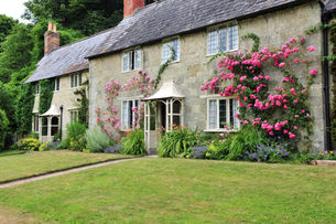 Unique online service to help prevent homes being ‘underinsured’