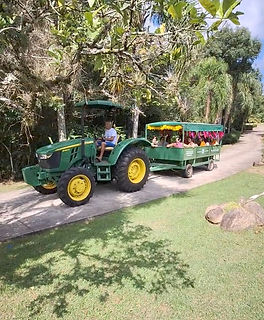 Passeio de trator pela estrutura do Vila Ventura Eco Resort em Viamão, RS