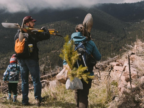 Colorado Site 7.jpg