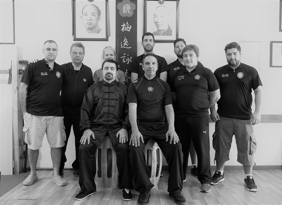 Foto Oficial con los participantes del Encuentro de Exploración de las Estructuras del Chi Sao en Go Chai Kung Fu Studio - Wing Chun Argentina