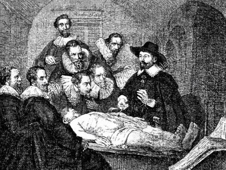 A Case for Democracy - Started in Our Guts! How Nature Heals Stroke?