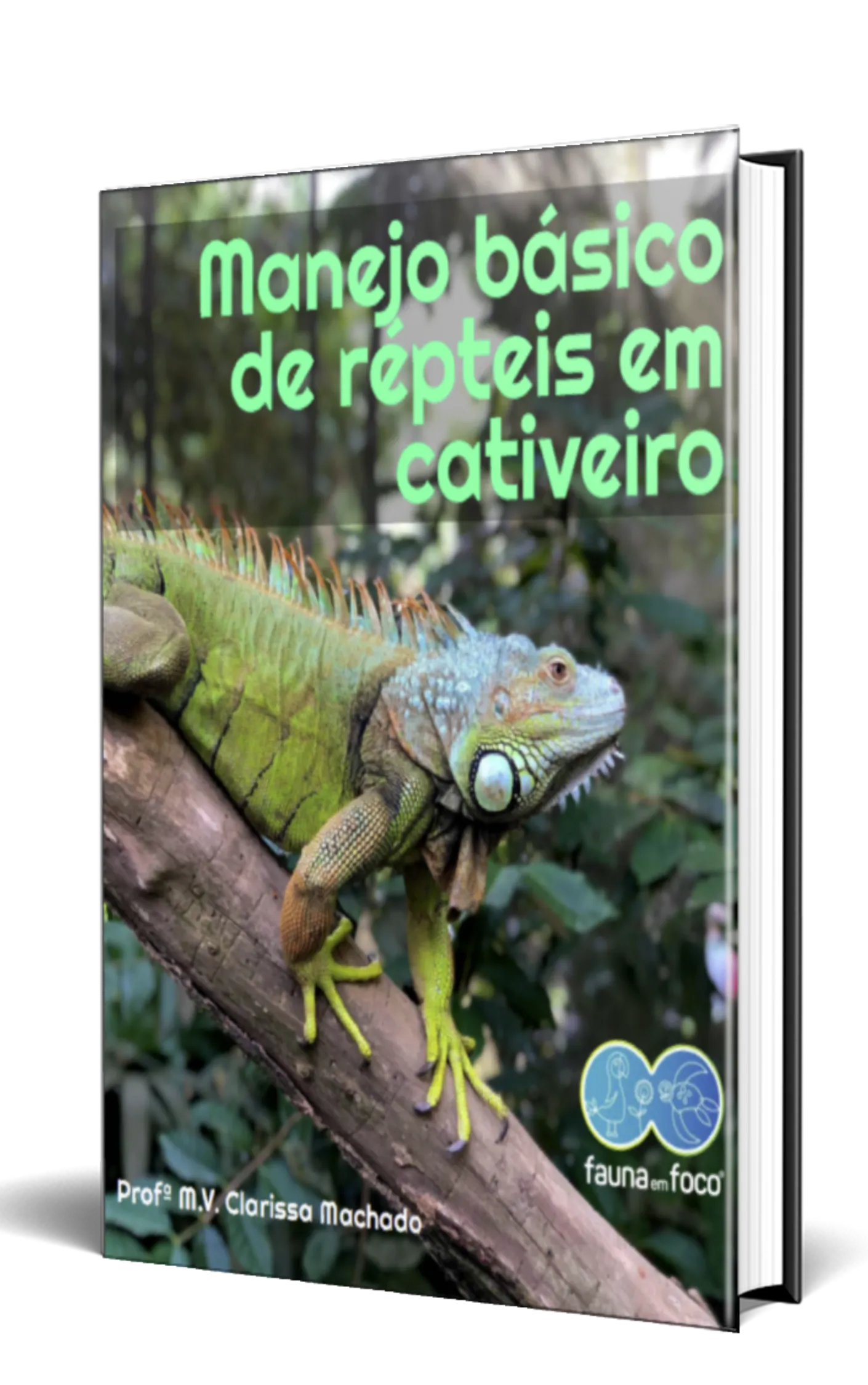 E-bookResultado.webp