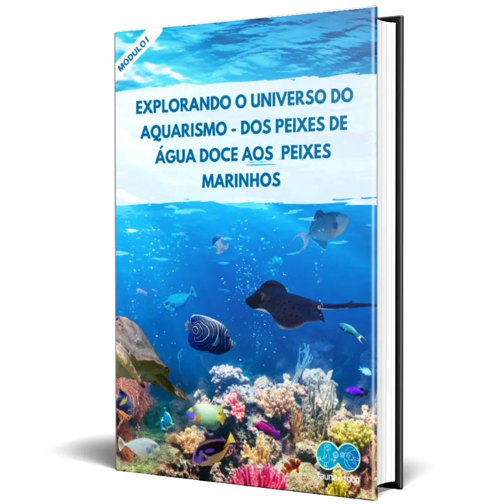 Capa 1 aquarismoResultado.webp