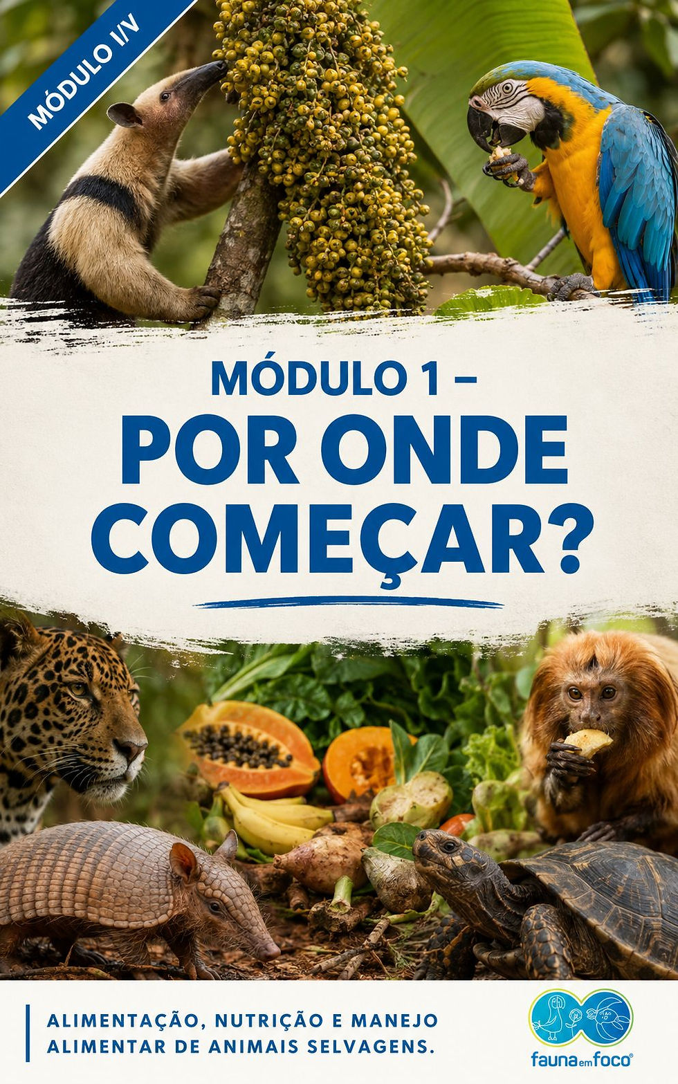 1Resultado.jpg