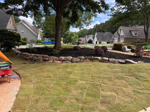 Fresh front lawn 