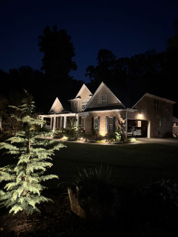 Landscape lights