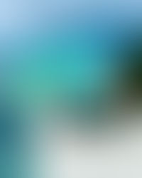 The BEST ELEUTHERA BEACH CLOTHING!