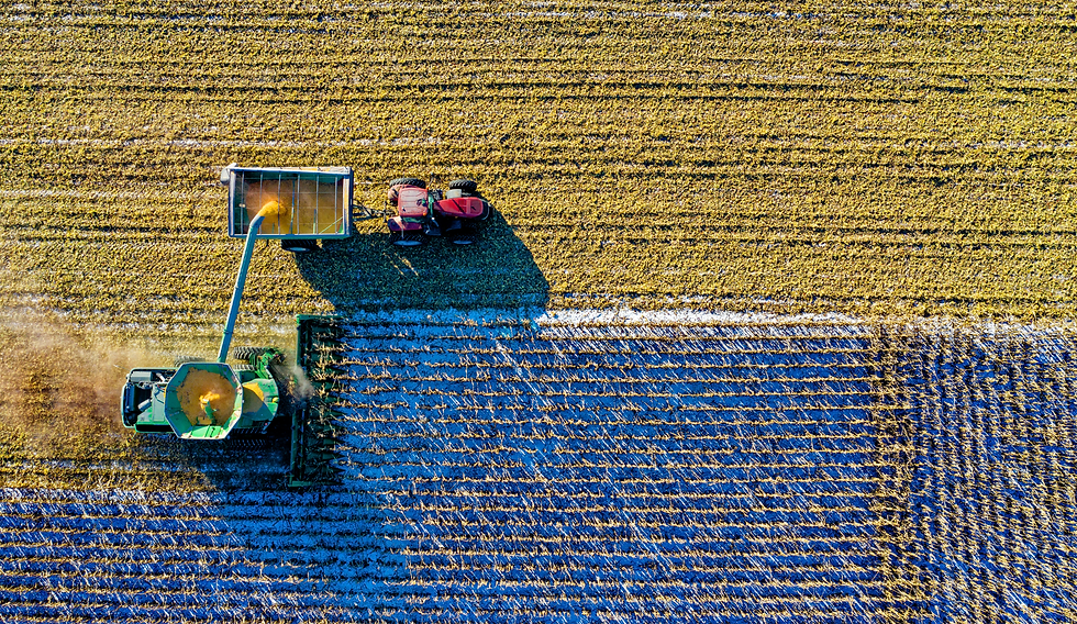 Organic Harvesting Purity