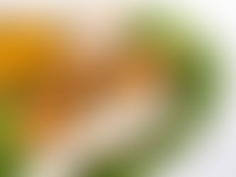 Which one is the best? South Indian Cuisine or North Indian Cuisine?