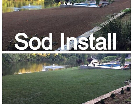 Sod%20installation_%20No%20problem%20at%