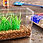 Thumbnail: Aquarium Gravel Natural, 25 Lb