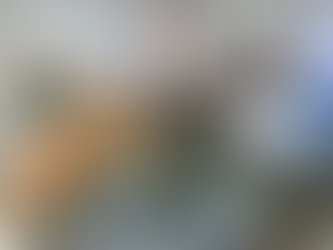 Things To Do In New Orleans