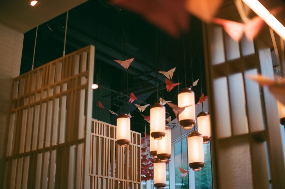 The larger Origami Installation at Wagamama Dallas.