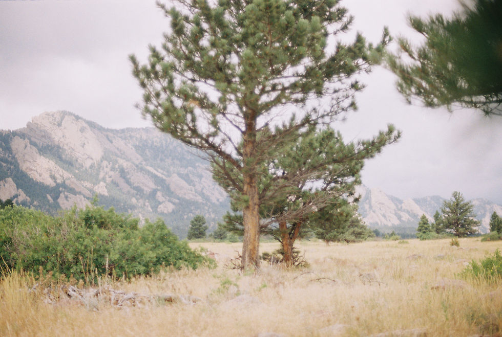 We'll Turn Back Here