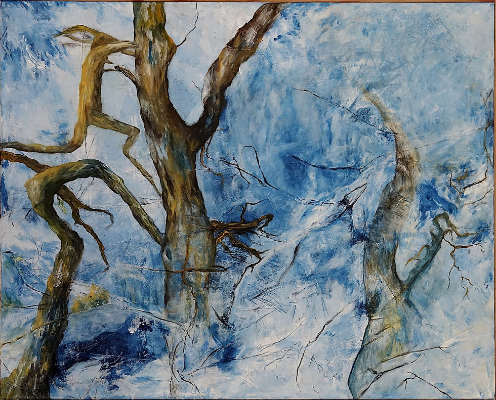 Paysage hivernal
