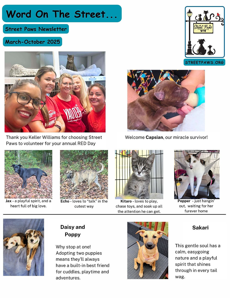 Street Paws Newsletter