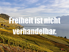 Die FDP und Europa: Zwischen Überzeugung und Überleben