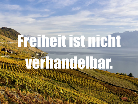 Die FDP und Europa: Zwischen Überzeugung und Überleben