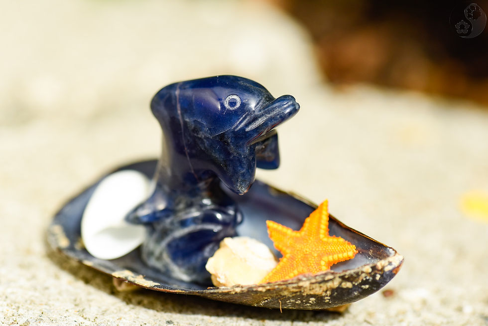 Miniaturbild: Delphin - Sodalith
