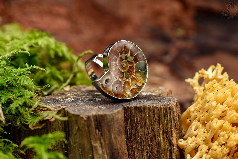 Miniaturbild: silberner Ring mit einer Ammonit-Schnecke auf Holz, Heilsteine, alternative Methoden